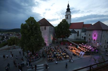 23.POLETNI VEČER  16 FOTO LJUBO VUKELIČ